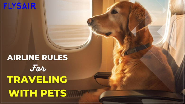 Traveling with Pets: Airline Policies and Tips
