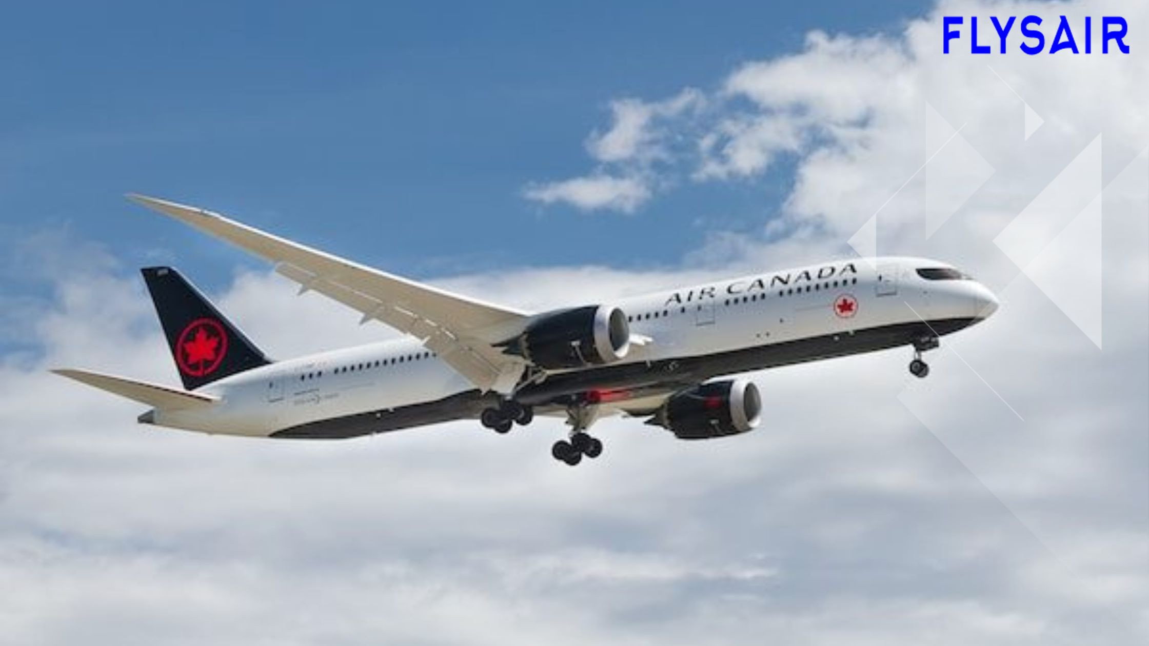 How Air Canada Caters to the Diverse Needs of Its Passengers